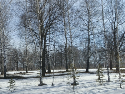 Весна
