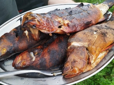 Рыба копченая