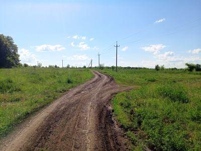 Грунтовая дорога