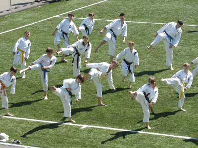 Дзюдо, каратэ