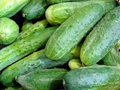 Огурцы