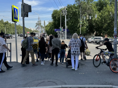 Пешеходы