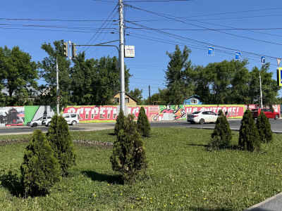 Озеленение города