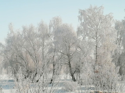 Природа зимой