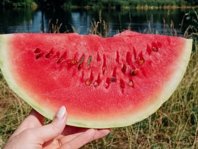 Арбуз