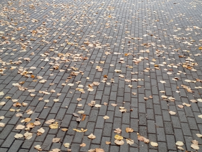 Осенний тротуар в парке