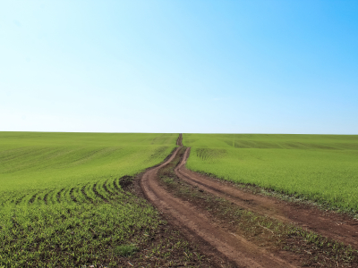 Дорога в зеленом поле