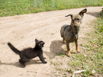 Матрица или встреча закадычных друзей
