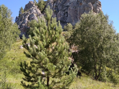 Мурадымовское ущелье