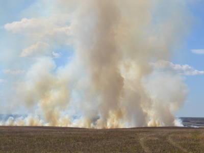 Пожар в поле