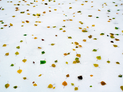 И снова осень встретилась с зимой...