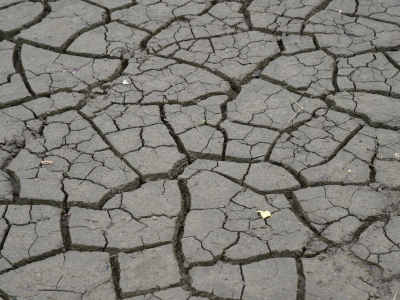 Потрескавшаяся земля после засухи