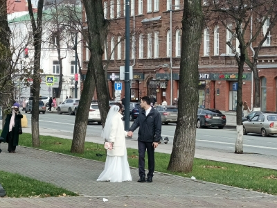 Молодожены