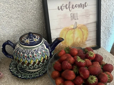 Грибы и ягоды