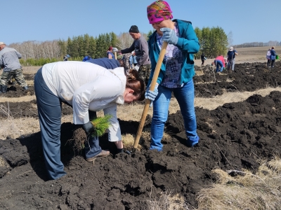 Зеленая Башкирия