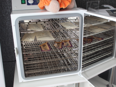 Сухожар для стерилизации инструментов