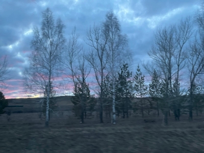 деревья осенью