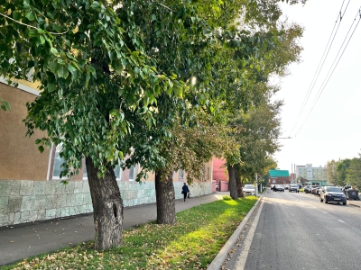 аллея деревье