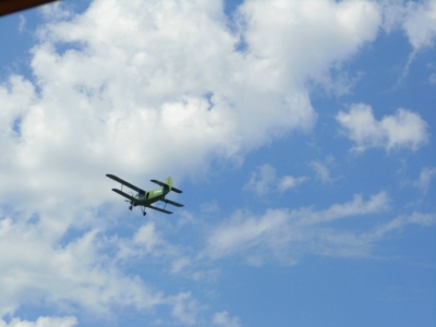 Самолет в небе