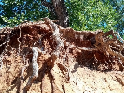 Последствия водной и ветровой эрозии