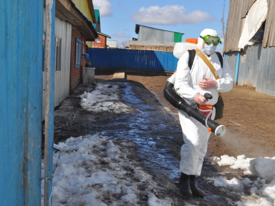 Карантин (весна)