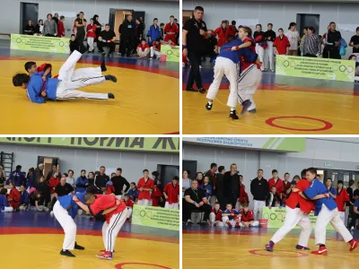 Вольная борьба