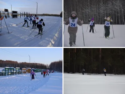 Лыжные гонки