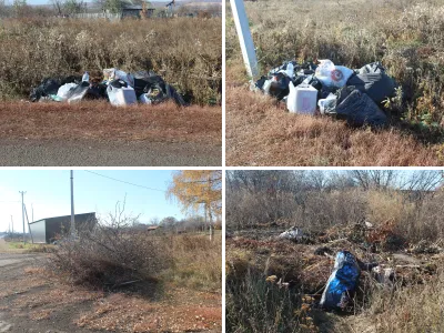 Несанкционированные свалки