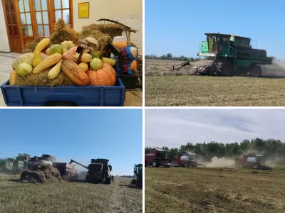 Уборка урожая