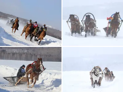 Зимние скачки