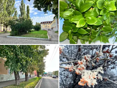 Осенняя природа