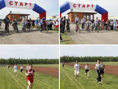 Кросс