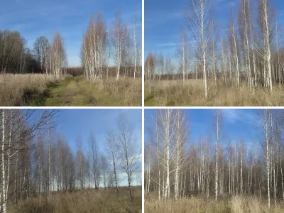 Осень в лесу