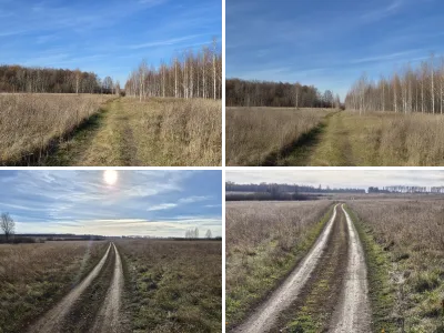 Дорога в поле
