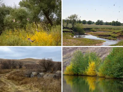 Пейзажи родного края!