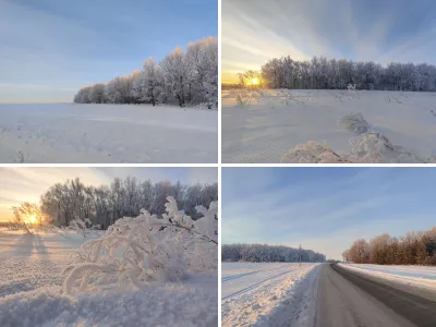 Природа зимой